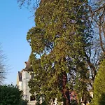 Bed & Breakfast La Maison Bleue « la Charade » 3*