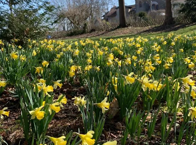 La Maison Bleue « la Charade » 3*